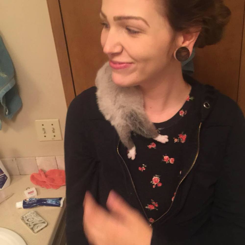 Meet your Posher, Suzi